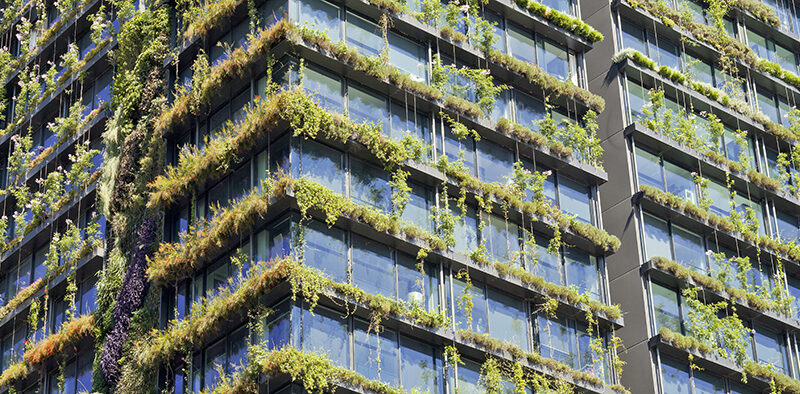 Green Facades: three views from the cutting edge