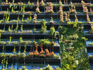 green-solutions-for-buildings