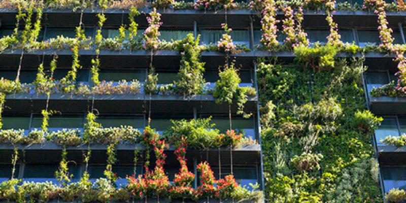 Green solutions for buildings – How you can skin your building