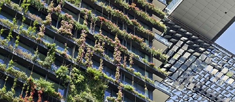 Do Green Walls Automatically Mean Your Building Is Green?