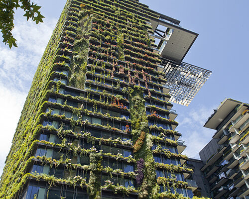 Planting Vertical Gardens for Green Facades