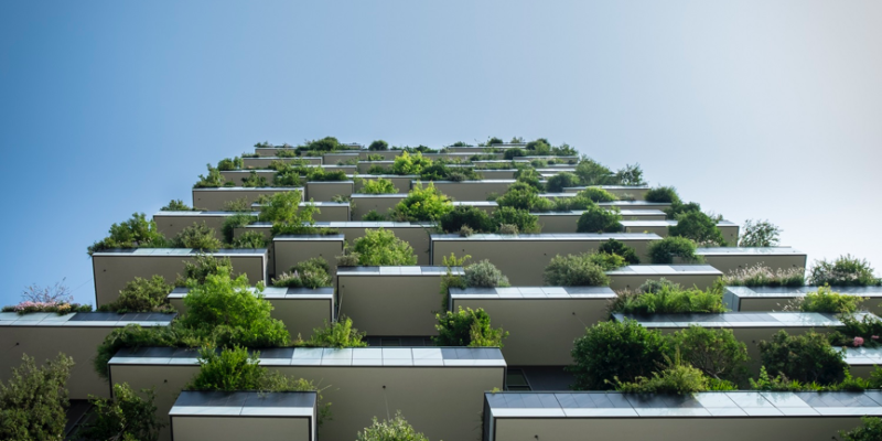 Green Facade or Living Wall: What’s The Difference?