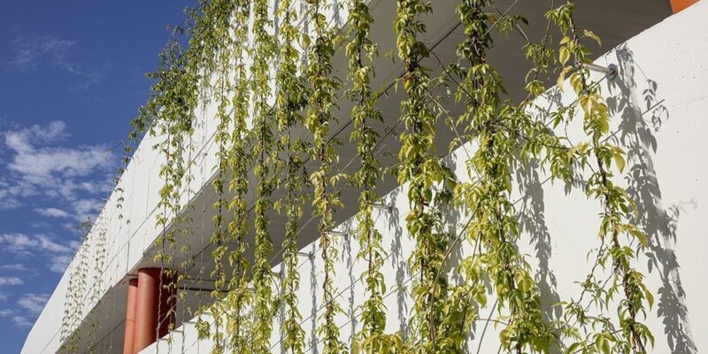 What is the Best Support for Your Green Facade Structure?