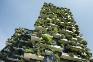 Can Green Facades Improve Air Quality and Wellbeing? / Tensile Design & Construction