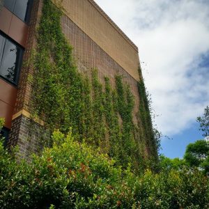 What is the Definition of a Green Facade? / Tensile Design & Construct