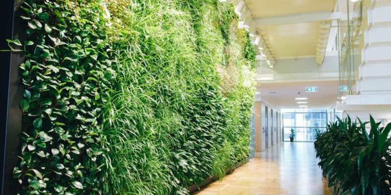 Interior Green Facades: What You Need to Know