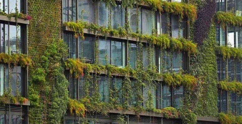 Breathing New Life into Your Building with a Living Wall