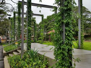 The Evolution of Vertical Gardens / Tensile Design & Construct