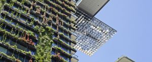 The Planter Box Approach to Green Walls / Tensile Design & Construct