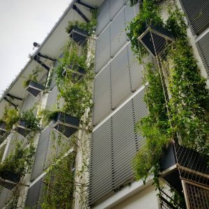 5 Factors that Impact the Longevity of a Green Wall / Tensile Design & Construct