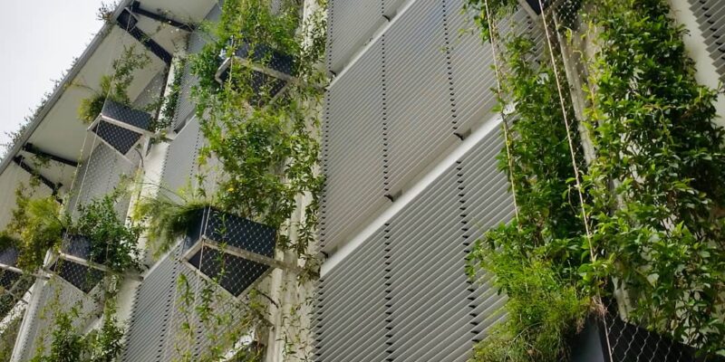 5 Factors that Impact the Longevity of a Green Wall