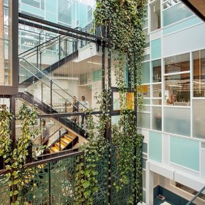 Bringing the Outdoors In Through Internal Green Spaces / Tensile Design & Construct