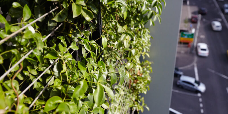 5 Ways Design and Construction Influence Green Walls