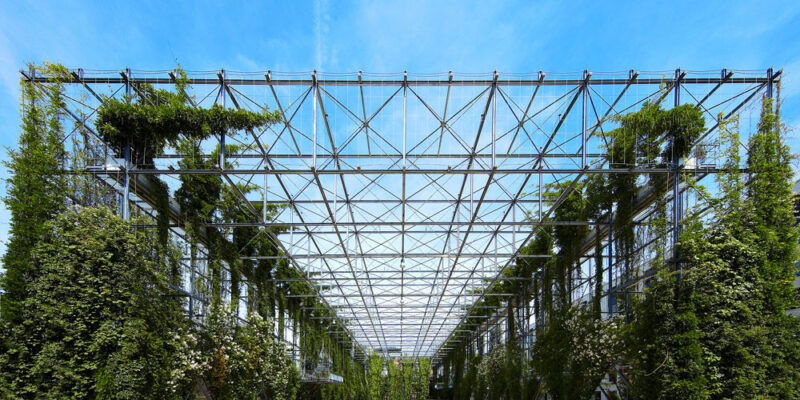 Using Vertical Garden Frames as Plant Support Structures