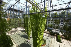 How Stainless Steel Ropes and Mesh Support a Green Facade / Tensile Design & Construct