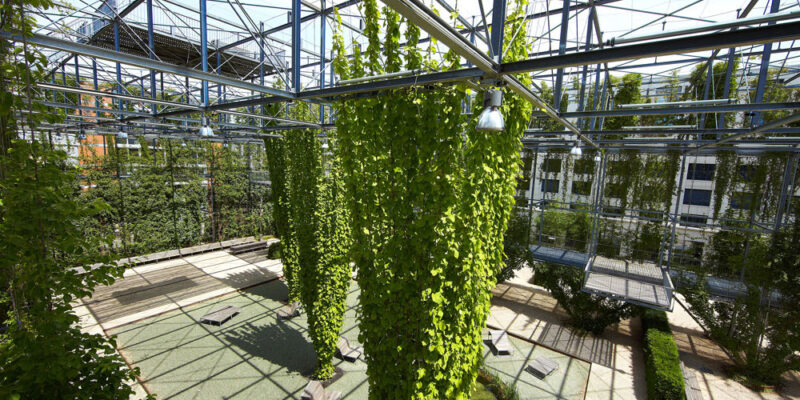 How Stainless Steel Ropes and Mesh Support a Green Facade