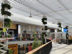 Considerations for Maintaining a Vertical Gardening System / Tensile Design & Construct