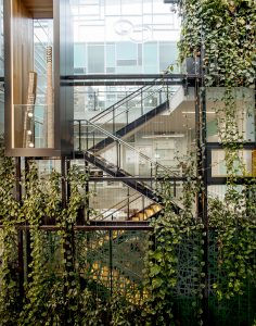 How Indoor Green Walls Bring Nature into Urban Environments / Tensile Design & Construct
