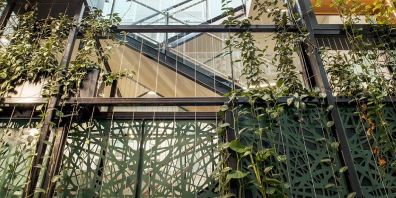 Benefits of Wire Trellis Systems for Green Facades and Walls