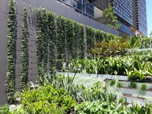 Green Facade Loads: 4 Things You Need to Know / Tensile Design & Construct