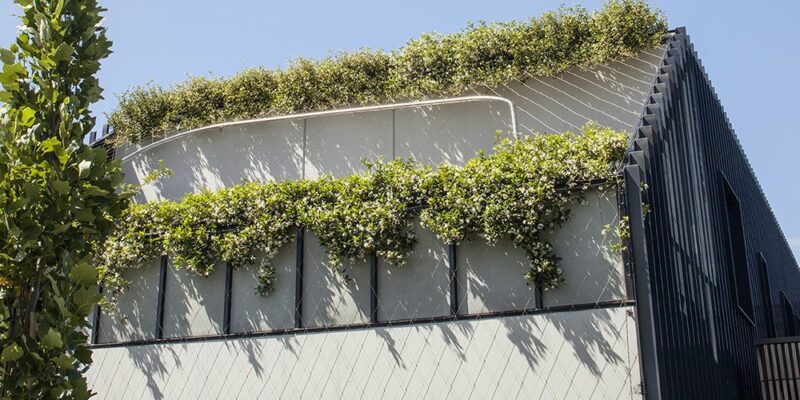 Anchoring Systems for Green Facades