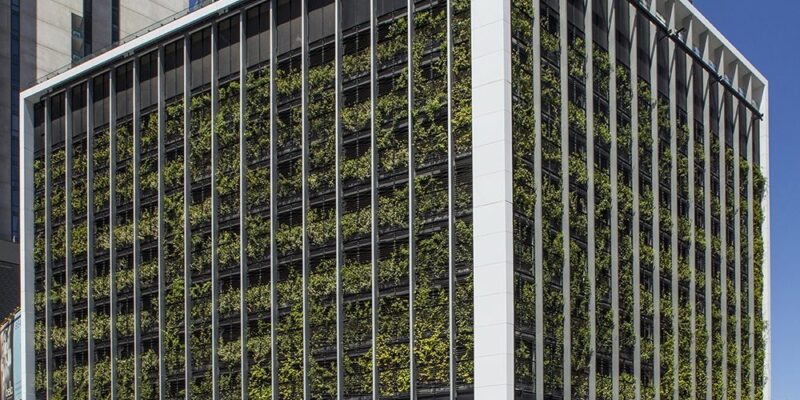 Integrating Biophilic Architecture into Commercial Buildings