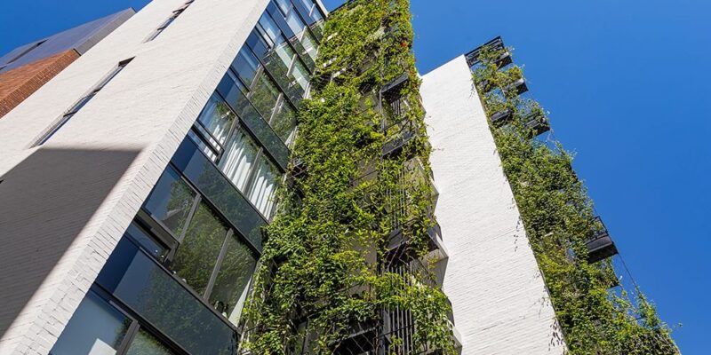 Why Green Facade Maintenance is Critical for Fire Safety