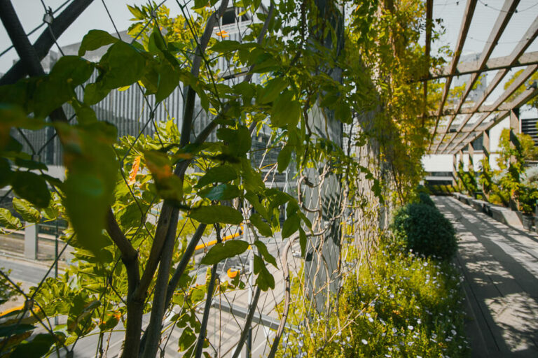 Elevated Outdoor Parks Bring Nature to the Concrete Jungle